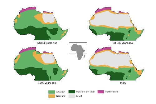 Changes of vegetation between humid and arid phases in North Africa. Vegetation zones are based on the minimum precipitation requirements of each vegetation type. Credit Jani Närhi / University of Helsinki
